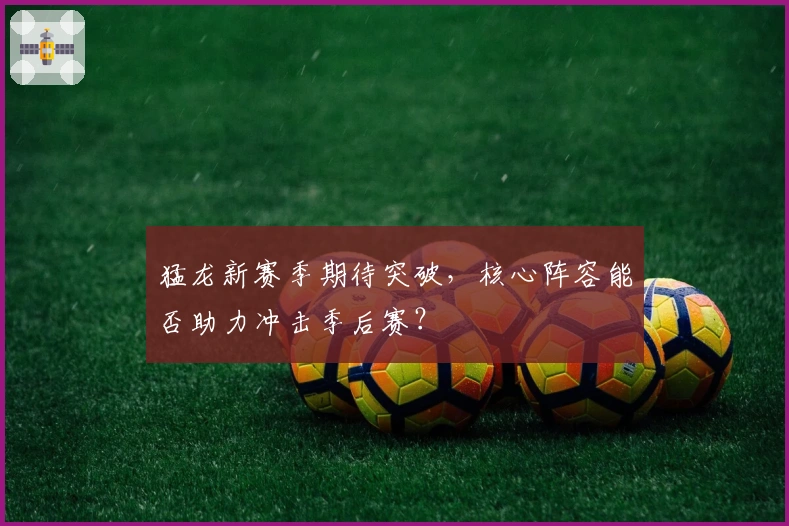 猛龙新赛季期待突破，核心阵容能否助力冲击季后赛？