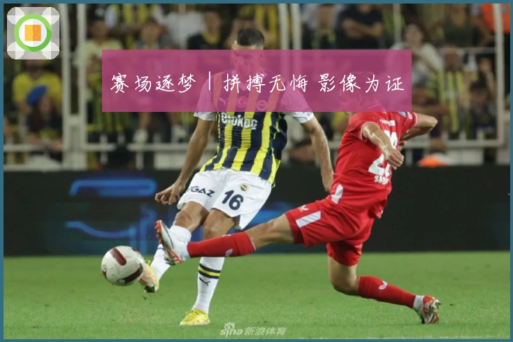 赛场逐梦｜拼搏无悔 影像为证